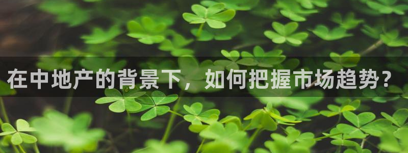 新宝5注册账号：在中地产的背景下，如何把握市场趋势？