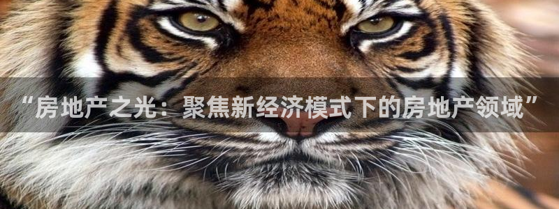 新宝6霸哥5：“房地产之光：聚焦新经济模式下的房地产领域”