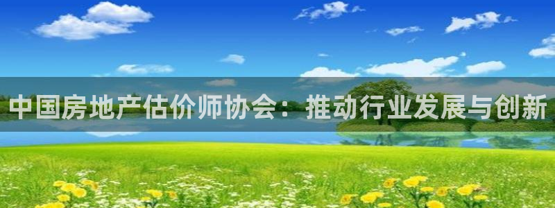 新宝5-：中国房地产估价师协会：推动行业发展与创新
