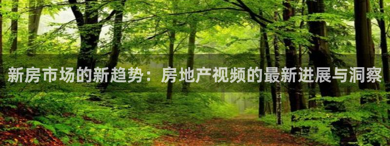 新宝5黑彩：新房市场的新趋势：房地产视频的最新进展与洞察