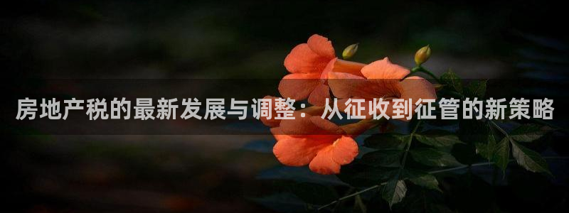 新宝h2O5O5O：房地产税的最新发展与调整：从征收到征管的