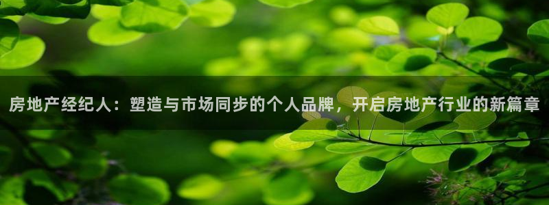 新宝5黑：房地产经纪人：塑造与市场同步的个人品牌，开启房地产