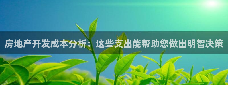 新宝6霸哥5