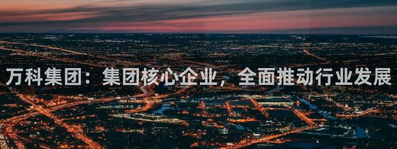 新宝5测速：万科集团：集团核心企业，全面推动行业发展