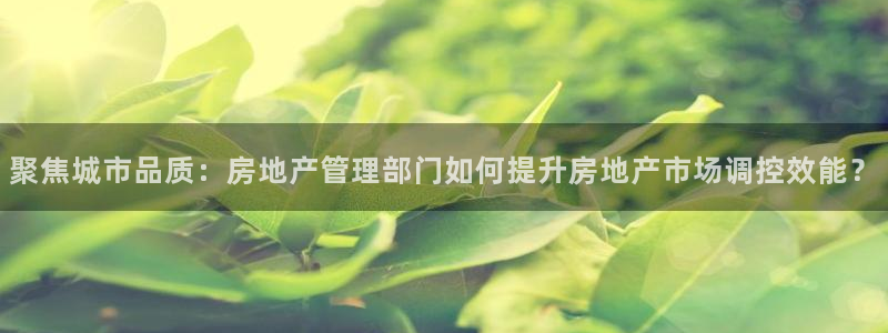 新宝5测速在线：聚焦城市品质：房地产管理部门如何提升房地产市
