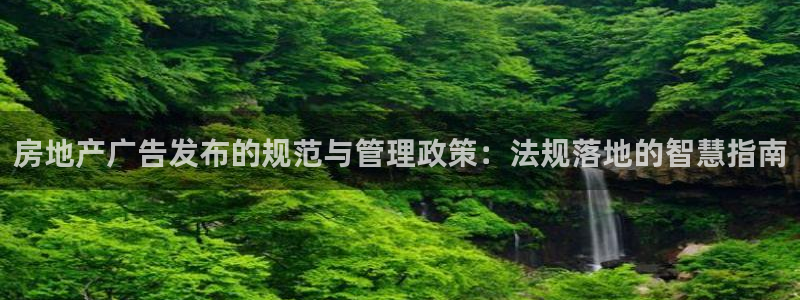 新宝5娱乐学
