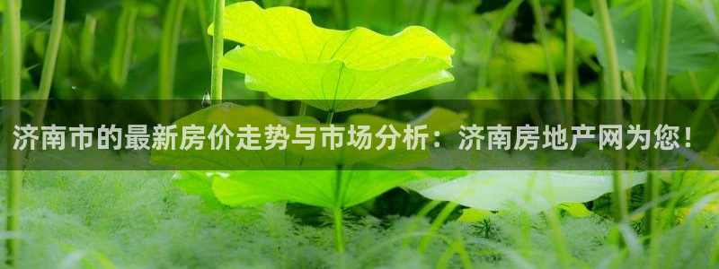 新宝5d：济南市的最新房价走势与市场分析：济南房地产网为您！
