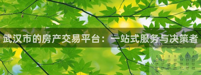 新宝5是谁的：武汉市的房产交易平台：一站式服务与决策者