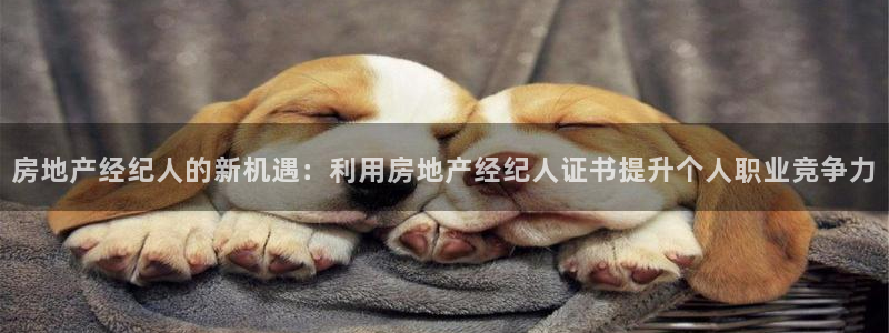 新宝5测试：房地产经纪人的新机遇：利用房地产经纪人证书提升个