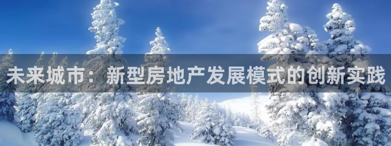 新宝5手机app：未来城市：新型房地产发展模式的创新实践
